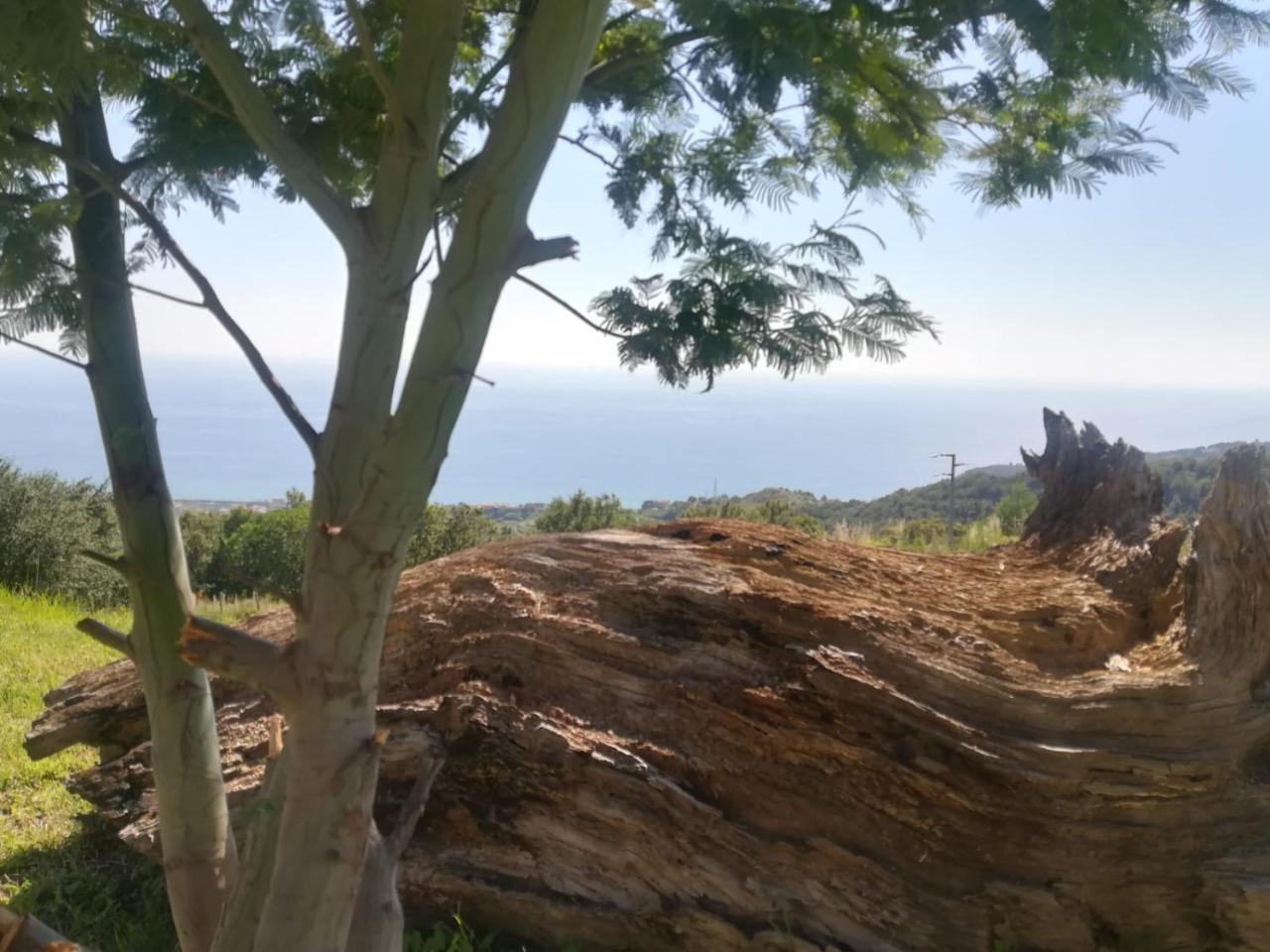 פוסקאלדו Il Cerro Agriturismo Zagarese מראה חיצוני תמונה